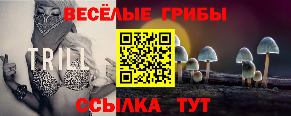 Галлюциногенные грибы Psilocybine cubensis  дарнет шоп  Сочи  Вход с VPN 